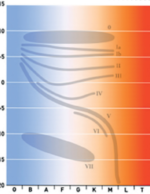 La vie des étoiles en une figure