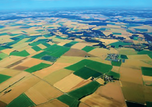 Quels paysages agricoles et forestiers en 2050 en France et à Fleurance face au changement climatique ?